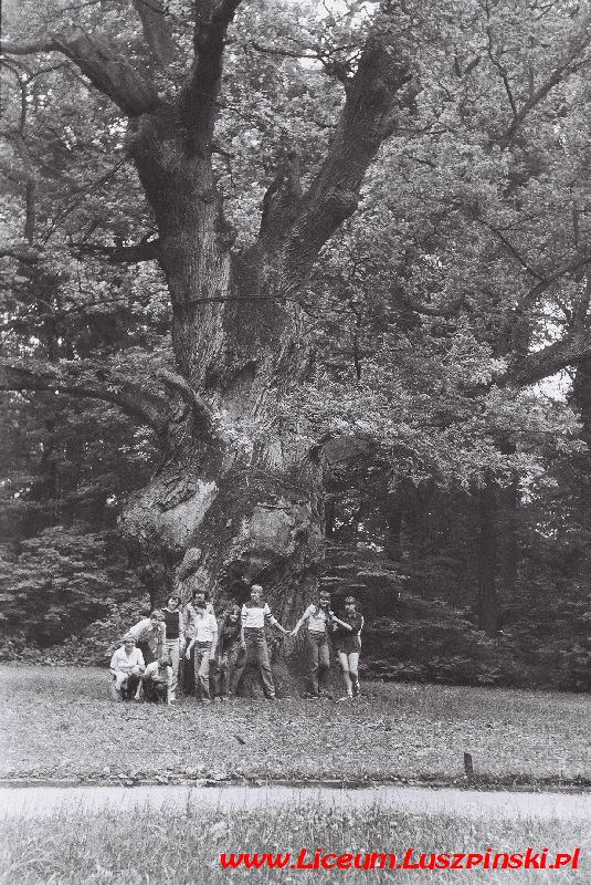 www.Liceum.Luszpinski.pl_1978-1982_0380