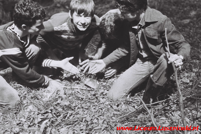 www.Liceum.Luszpinski.pl_1978-1982_0443