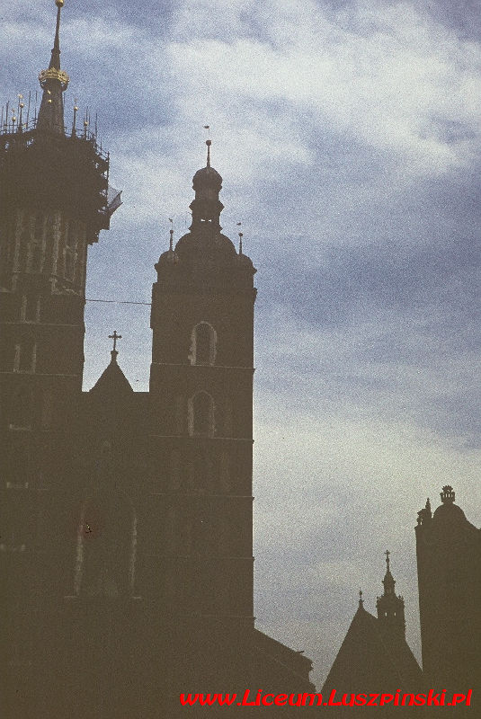 www.Liceum.Luszpinski.pl_1978-1982_0497