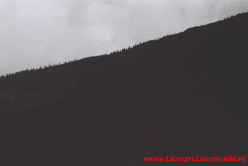 www.Liceum.Luszpinski.pl_1978-1982_0687