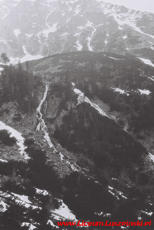 www.Liceum.Luszpinski.pl_1978-1982_0874