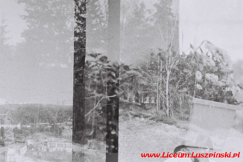 www.Liceum.Luszpinski.pl_1978-1982_0887