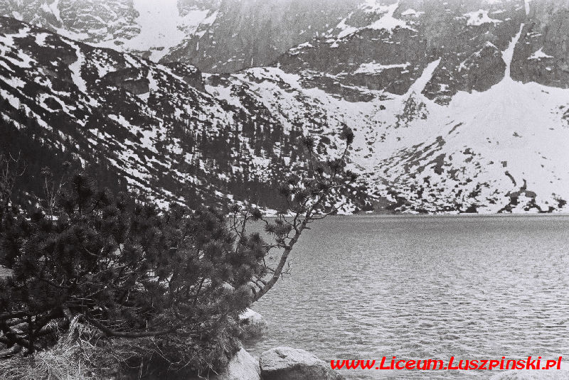 www.Liceum.Luszpinski.pl_1978-1982_0962