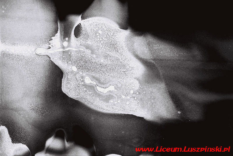 www.Liceum.Luszpinski.pl_1978-1982_1076