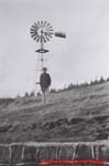 www.Liceum.Luszpinski.pl_1978-1982_0662