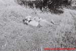 www.Liceum.Luszpinski.pl_1978-1982_0692