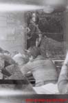 www.Liceum.Luszpinski.pl_1978-1982_0854