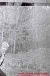 www.Liceum.Luszpinski.pl_1978-1982_0879
