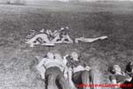 www.Liceum.Luszpinski.pl_1978-1982_0932