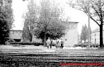 www.Liceum.Luszpinski.pl_1978-1982_0989